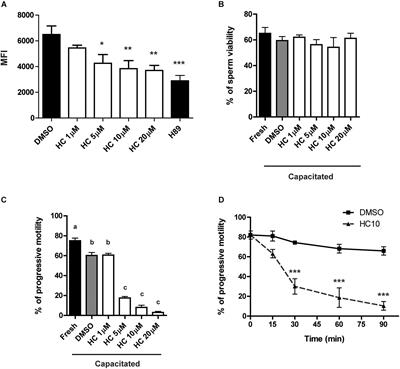 Pharmacological Inactivation of CatSper Blocks Sperm Fertilizing Ability Independently of the Capacitation Status of the Cells: Implications for Non-hormonal Contraception